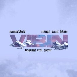 Album cover of Vibin