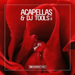 Album cover of Enormous Tunes - Acapellas & DJ-Tools, Vol. 3
