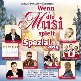 Album cover of Wenn die Musi spielt - Spezial 2014