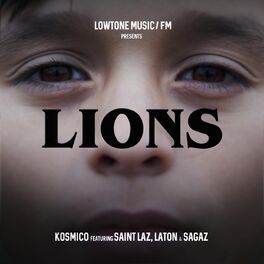 Album cover of Lions