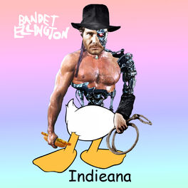 Album cover of Indieana