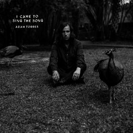 Album cover of I Came to Sing the Song