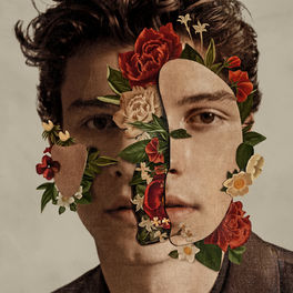 Album cover of Shawn Mendes