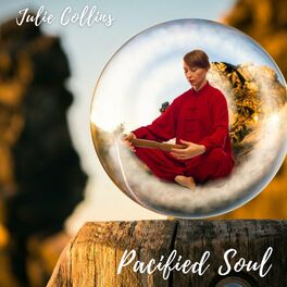 Album picture of Pacified Soul (Instrumental Version)