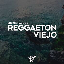 Album cover of Enganchado De Reggaeton Viejo 1 (Remix)