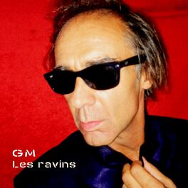 Album cover of Les ravins