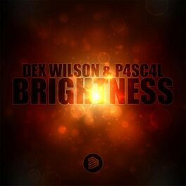 Album cover of Brightness