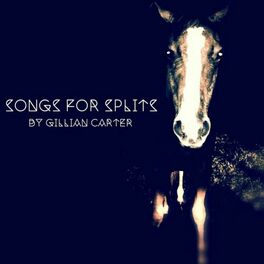 Album cover of Songs for Splits