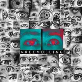 Album cover of Vreemdeling