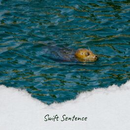 Album cover of Swift Sentence