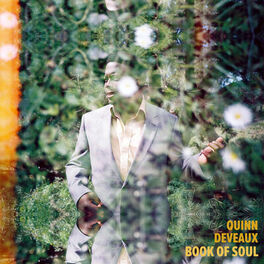 Album cover of Book of Soul