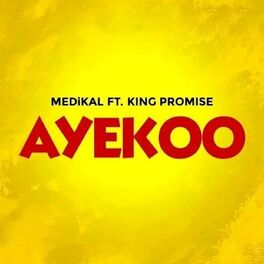 Album cover of Ayekoo (feat. King Promise)