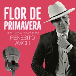 Album cover of Flor de Primavera (feat. Rafael 