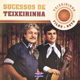 Album cover of Sucessos de Teixeirinha