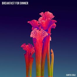 Album cover of Breakfast for Dinner