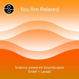 Album cover of Meditation: You Are Relaxed