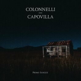 Album cover of Primo Sangue (feat. Pierpaolo Capovilla)