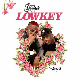 Album cover of Lowkey (feat. Joey B)