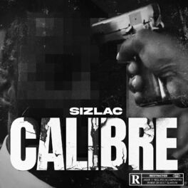Album cover of Calibre
