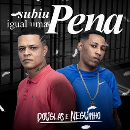 Album cover of Subiu Igual uma Pena