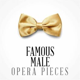 Album cover of Famous Male Opera Pieces