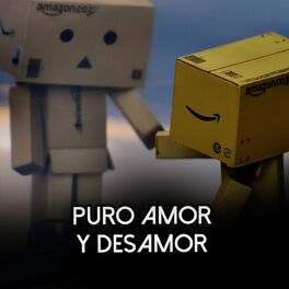 Album cover of Puro Amor y Desamor