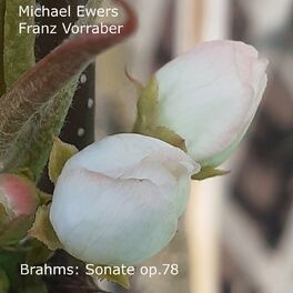 Album cover of Brahms: Sonate Op. 78