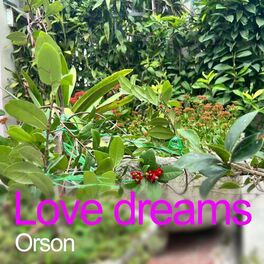 Album cover of Love dreams