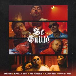 Album cover of Se Guilló (feat. Rayo & Toby, Totoy El Frio)