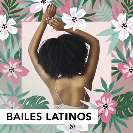 Album cover of Bailes Latinos