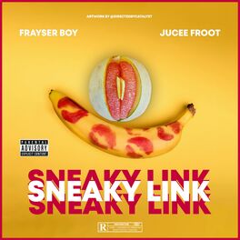 Album cover of Sneaky Link (feat. Jucee Froot)