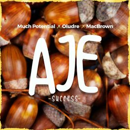 Album cover of Aje Success (feat. Much Potential & MacBrown)
