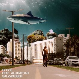 Album cover of Salzwasser