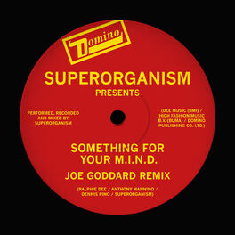 Album cover of Something For Your M.I.N.D. (Joe Goddard Remix)