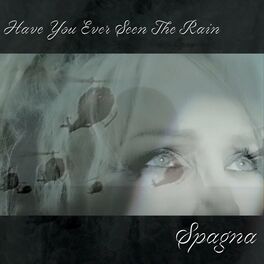 Album cover of Have You Ever Seen the Rain
