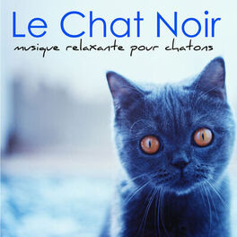 Album cover of Le Chat Noir – Musique relaxante pour chatons et tous les animaux qu'on adore