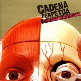 Album cover of Demasiada Intimidad