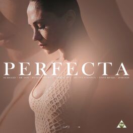 Album cover of Perfecta (Bachata Version)