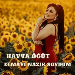 Album picture of Elmayı Nazik Soydum