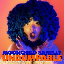 Album cover of Undumpable