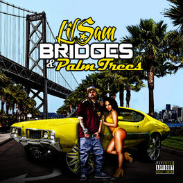 Album cover of Bridges & Palm Trees