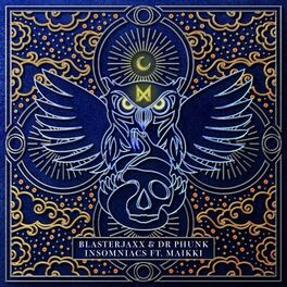 Album cover of Insomniacs (feat. Maikki)