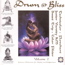 Album cover of Drum & Bliss v.2