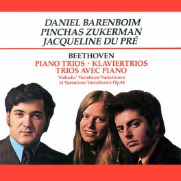 Album cover of Beethoven: Piano Trios & Variations