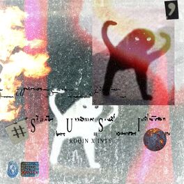 Album cover of Susi