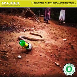 Album cover of The Snake and the Plastic Bottle... (feat. Edmund Platt) [