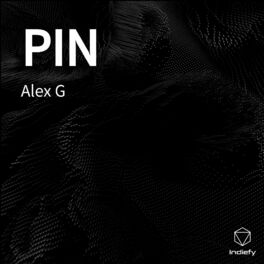 Album cover of PIN
