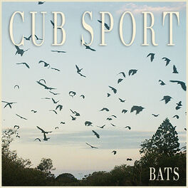 Album cover of BATS