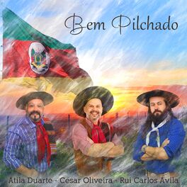 Album cover of Bem Pilchado
