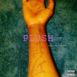 Album cover of Plush